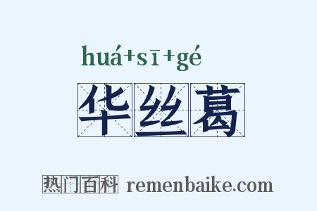 华丝葛是什么意思的图片